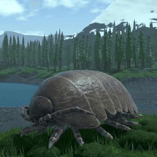 Giant Bug Zoo
